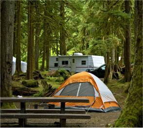RV trailer and orange tent at a camping ground surrounded by large trees