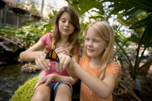 A girl in a pink shirt and a girl in a orange shirt looking at a monarch butterfly