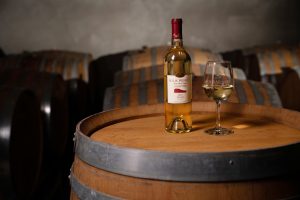A bottle and wine glass of Fiano on top of a wine barrel