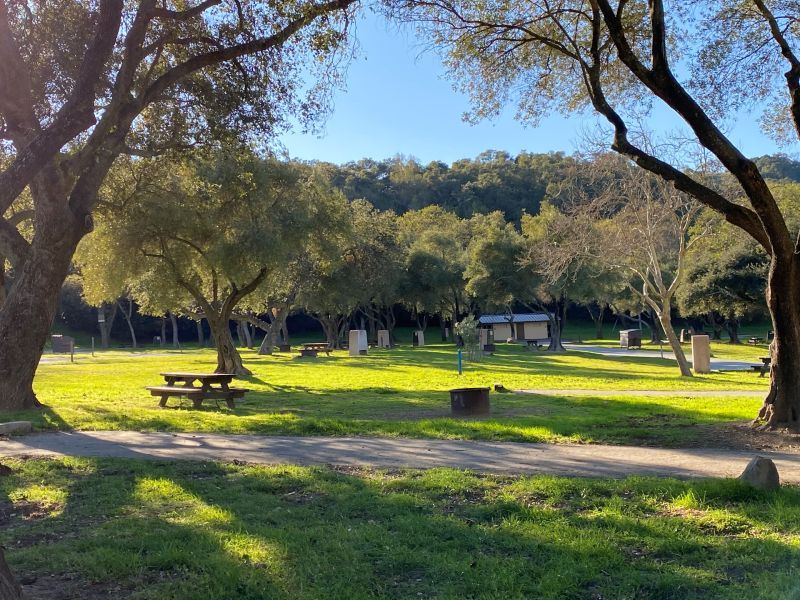 Coyote Lake Harvey Bear Ranch County Park sunny campsite with trees and picnic table, bathrooms in background