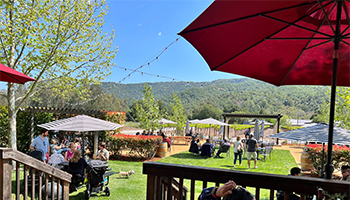 People relaxing and drinking wine at Solis Winery