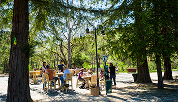 People enjoying a picnic with their dogs at Dorcich Vineyard in Gilroy