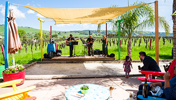 Band playing guitar while child dances to the music at Satori Cellars in Gilroy