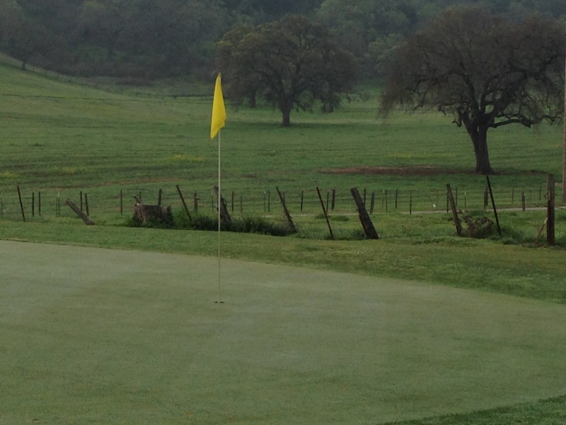green golf course with green grass and trees in the background and a yellow flag at the hole