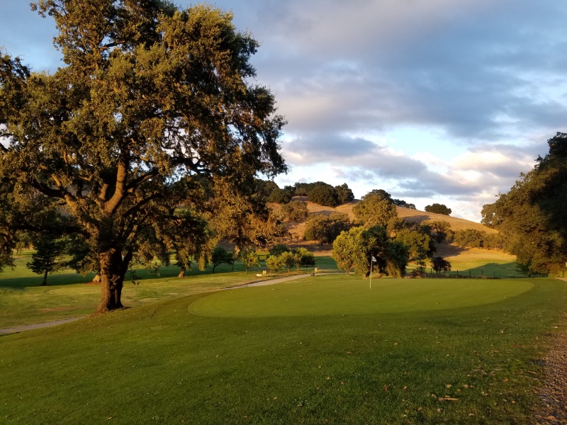 a golf course hole next to a big tree with hills and trees in the background