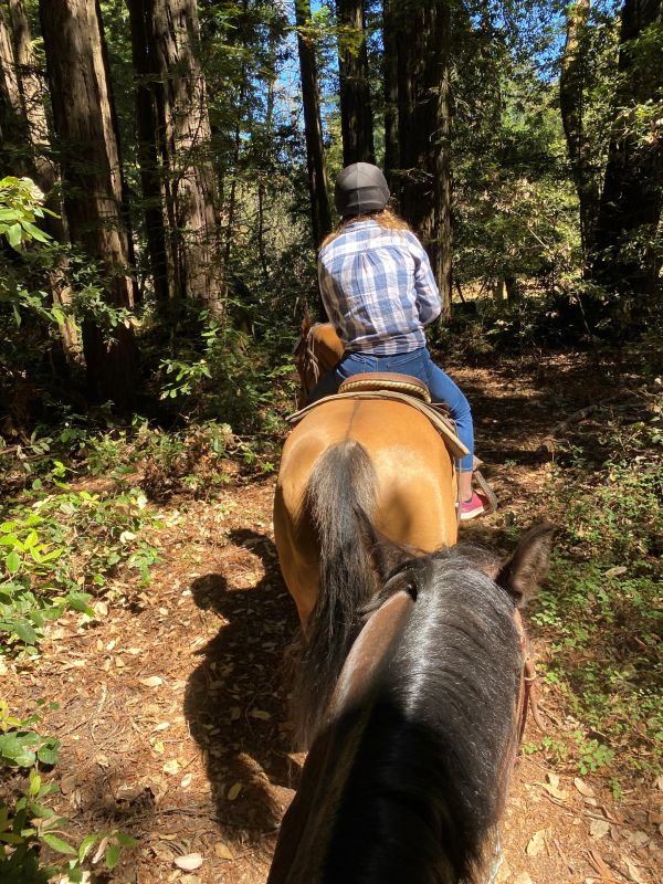 a young lady riding a brown horse on a trail in the woods