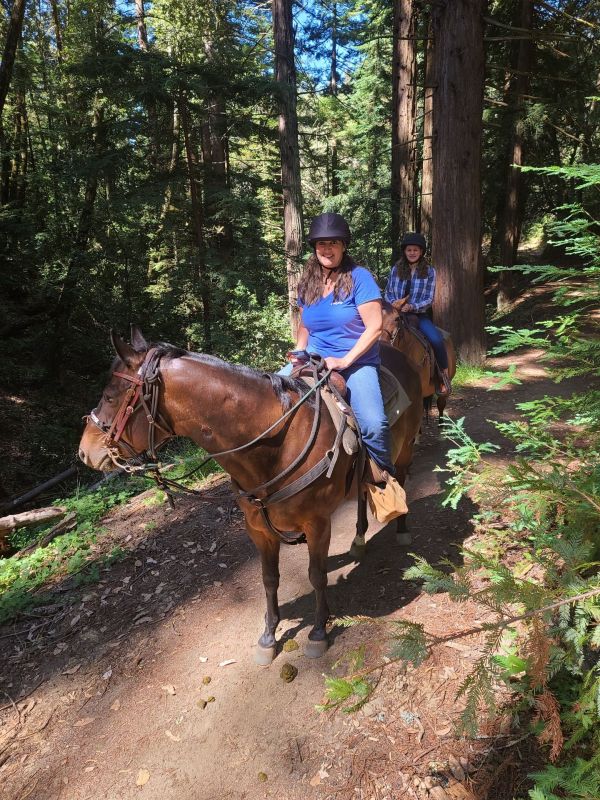 two women riding brown horses on a trail in the woods