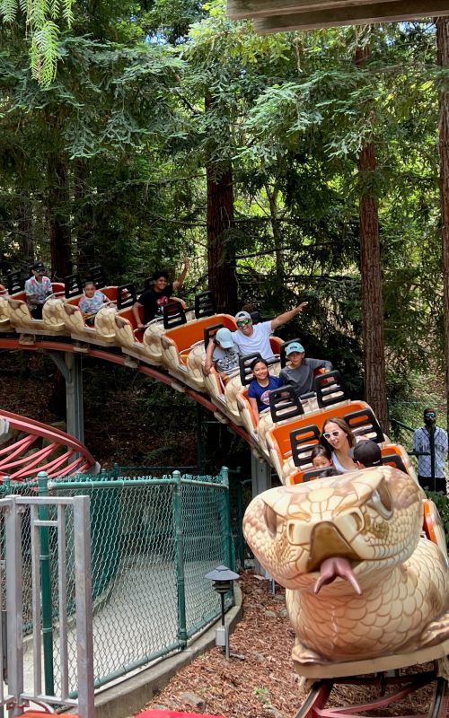 a rattlesnake roller coaster with people on it
