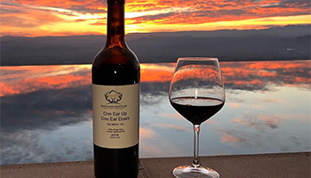 Bottle of wine with a glass of red wine next to it on a table during sunset