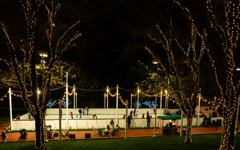 a view of an outdoor ice skating rink with white lights across it and in the trees around it
