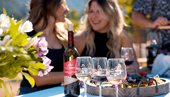 Two women enjoying Solis wine. White, red and rose wines inside wine glasses.