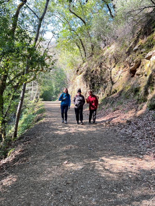three women in blue, gray, and red hiking down a wide dirt path with trees all around and sunlight