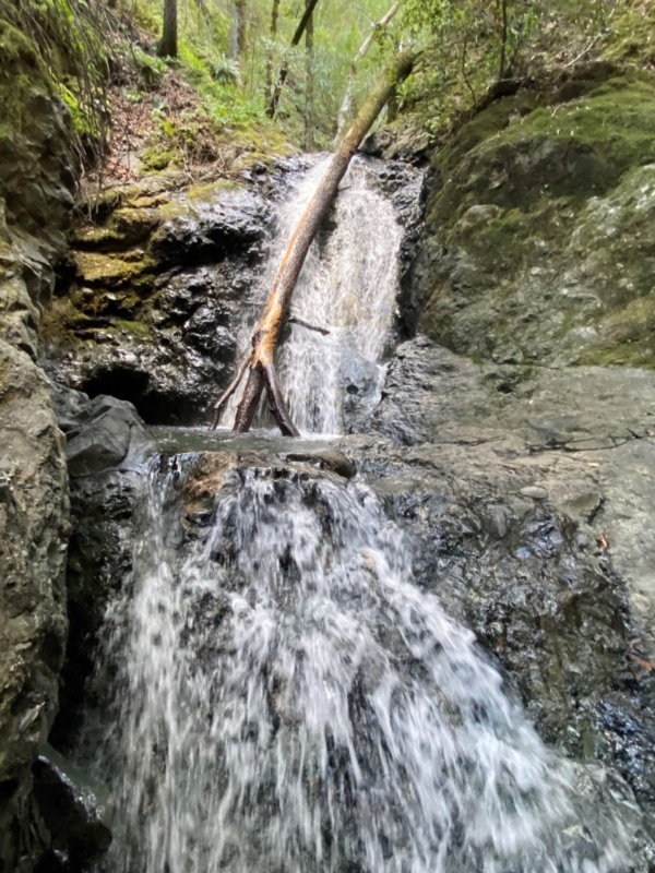 a waterfall with two cascades flows over some rocks with a fallen tree in it