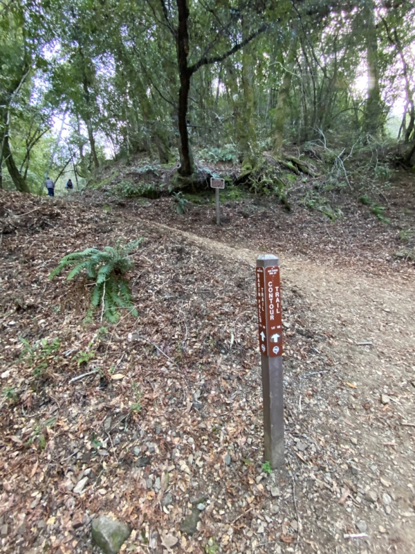 a trail with signs and people walking on it in the woods