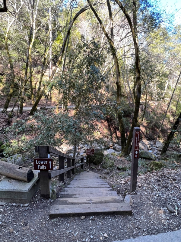 a set of stairs by a stream leading to a trail