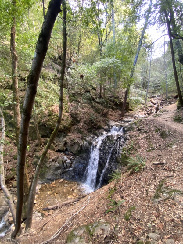 a waterfall falling into the creek below with trees all around