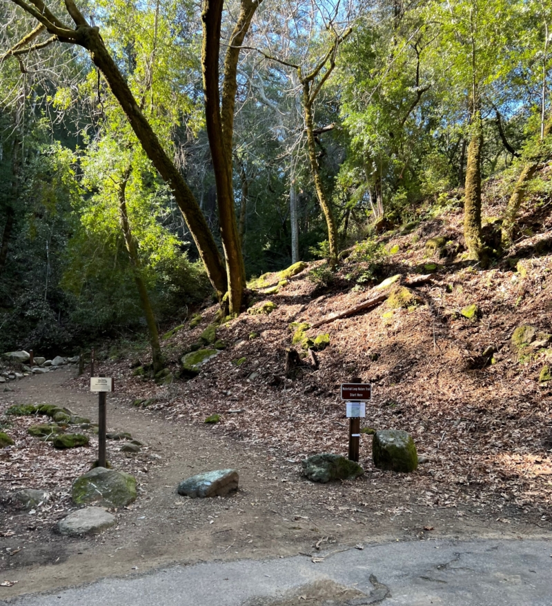the starting point of a trail with signs and a dirt path off the road