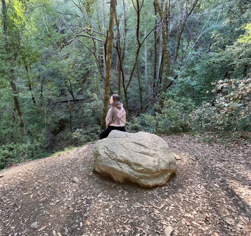 a woman sitting on a large rock in the woods overlooking a creek
