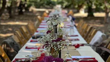 Long table outdoors covered in a white tablecloth. Table has flowers and red cloth napkins