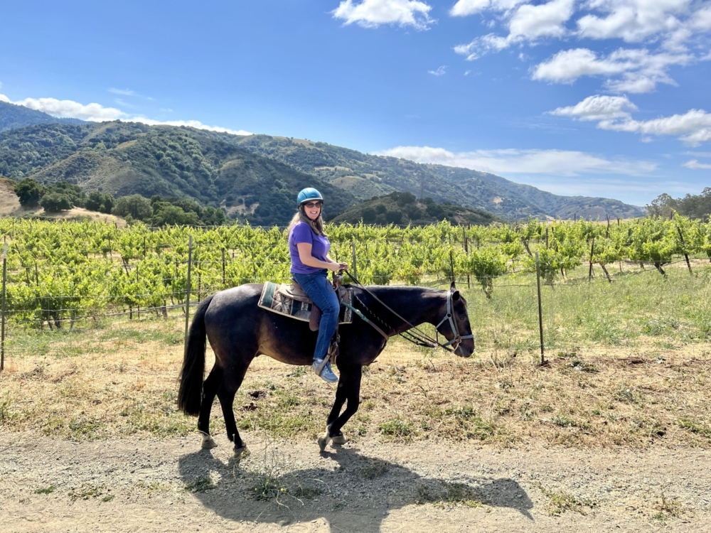 a woman sits on a dark horse with vineyards and tree-covered hills in the background