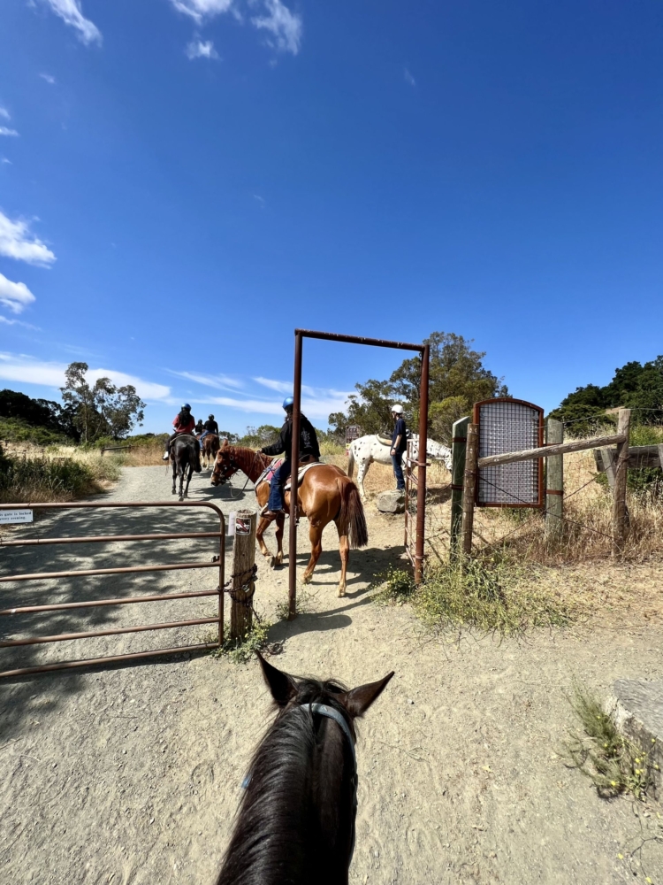 a group of horseback riders goes through a gate onto a trail
