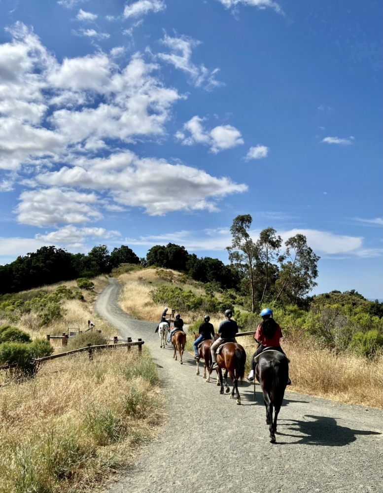 a group rides horses onto a trail with grass and trees around them and bright blue skies