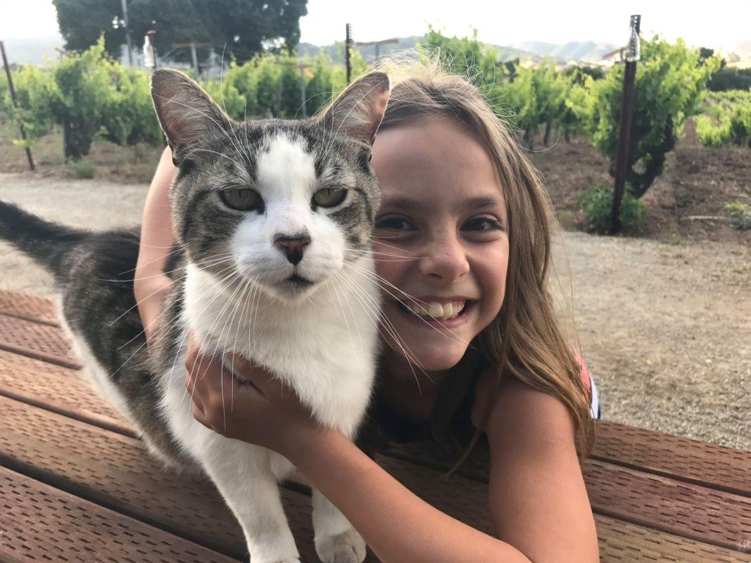 a girl smiling and holding onto her white and gray tabby cat