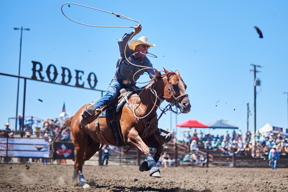 a photo of a cowboy on a horse with a rope in the air