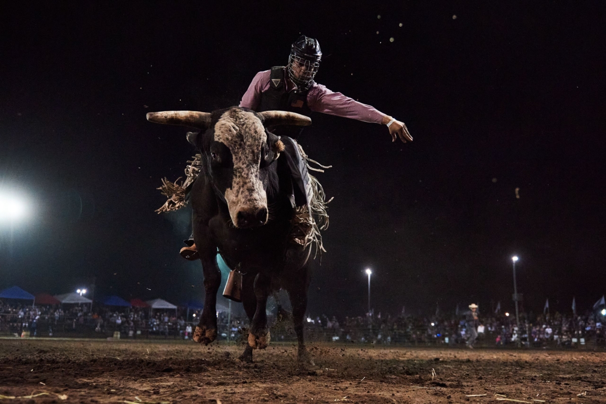 a man rides on the back of a bucking bull at night at a rodeo