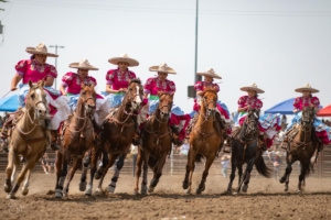 a group of seven women in bright pink and white traditional indigenous Mexican costumes ride side saddle on horses in a row