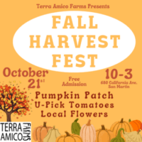 Terra Amico Farms Presents Fall Harvest Fest. October 21, 2023, from 10AM to 3PM. Free Admission. Pumpkin Patch, U-pick tomatoes, Local Flowers.