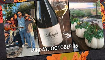 Bottle of wine, white pumpkins and people enjoying a day at Sarah's Vineyard