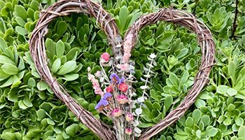 Heart shaped wreath on top of green succulents
