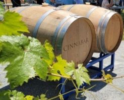 A Wine Barrel from Cinnabar Winery displayed in the sun with green leaves.