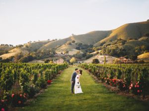 Bride and groom kissing in the middle of a green vineyard