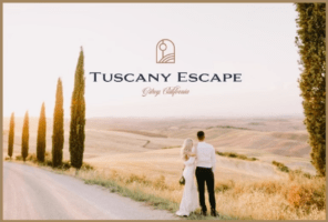 Tuscany Escape, Gilroy California. A couple dressed in wedding attire overlook the gold-colored Californian landscape with trees lining the road.
